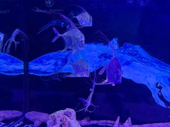 -多彩贵州城极地海洋世界