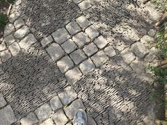 -秋霞圃