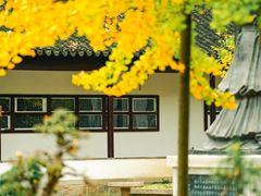 -苏州碑刻博物馆