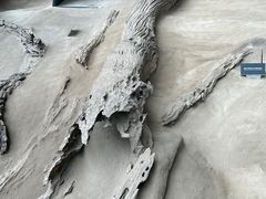 -金沙遗址博物馆