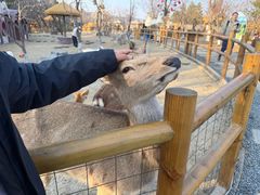 -茅山东方盐湖城景区