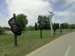 -盐城丹顶鹤湿地生态旅游区
