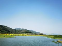 -径山花海