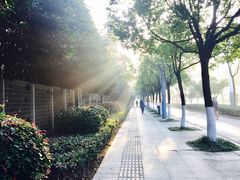 -南京奥林匹克体育中心-体育馆