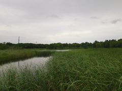 -尚贤河湿地