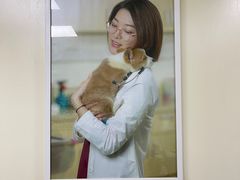 -美联众合动物医院·24h转诊中心