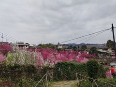 -玫瑰庄园·自助烧烤·烤全羊·团建拓展(龙泉山店)
