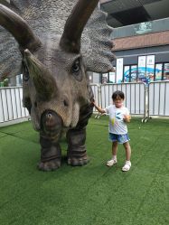 点击看大图 -恐龙探索乐园(磁器口店)