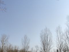 -东郊湿地公园
