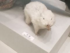 -北京中医药大学-中医药博物馆