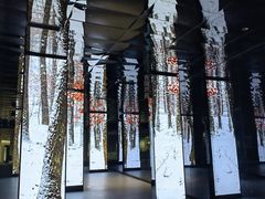 -中国湿地博物馆