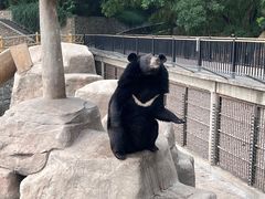 -石家庄市动物园