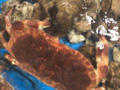 -盒马鲜生(岭南新世界店)