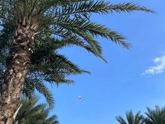 -上海海昌海洋公园