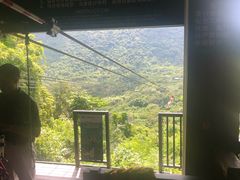 -呀诺达热带雨林