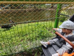 -长白岛森林公园