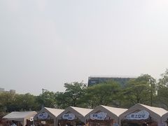 -嘉定紫藤园