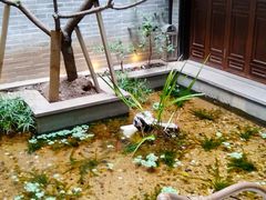 -归觅·西关小姐人文艺术馆(荔枝湾店)