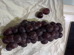 -马陆小张葡萄园农家乐