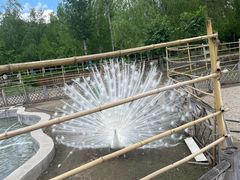 -哈尔滨北方森林动物园