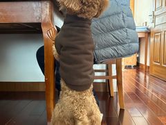 -盒马鲜生(馥邦国际店)