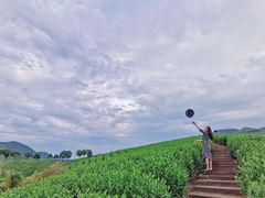 -帐篷客·溪龙茶谷度假酒店