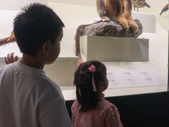 -四川大学博物馆