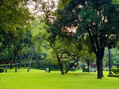 -晓港公园