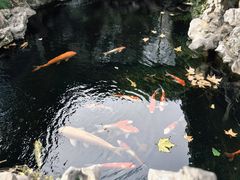 -鲤院·新中式美学·庭院餐厅(夫子庙店)