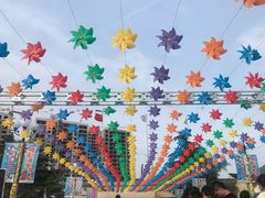 -温州乐园