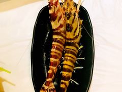 -鲜入围煮花胶鸡海鲜火锅