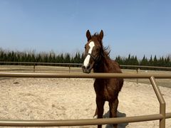 -汉长安城未央宫国家考古遗址公园