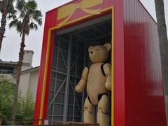 -济州岛泰迪熊博物馆