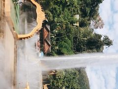 -西双版纳原始森林公园