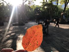 -万寿斋(山阴路店)