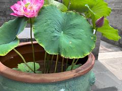 -李叔同故居纪念馆