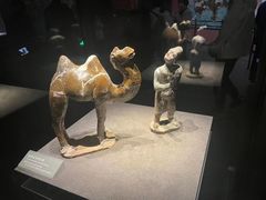 -大同市博物馆