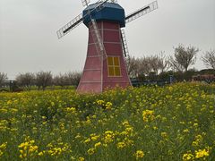 -武汉紫薇都市田园