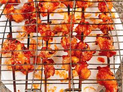 -吴淞炮台湾湿地森林公园烧烤区