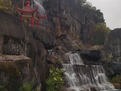 -金鸡山公园