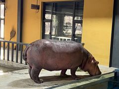 -北京野生动物园