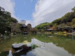 -云溪植物园