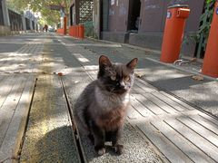 -江南水师学堂遗迹