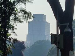 -荔湾湖公园