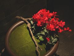 -桂语山房(满觉陇店)