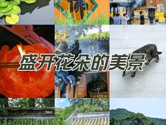 -潭柘寺景区