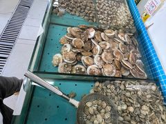 -渔家乐小海鲜(皇姑店)