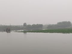 -大兴滨河森林公园