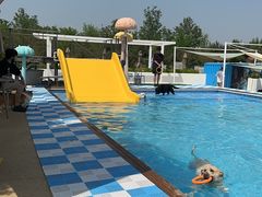 -爪吧宠物乐园 (温榆河示范区店)