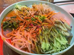 大拉皮-黑土印象菜馆(三元桥店)